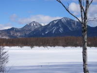 ���c��P��